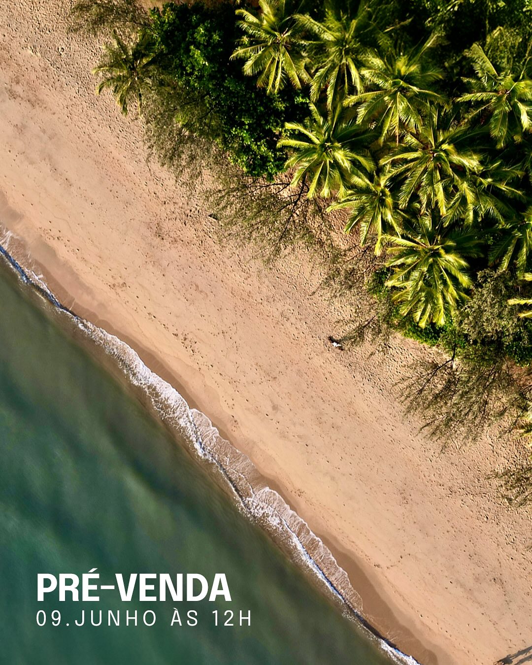 Imagem do card