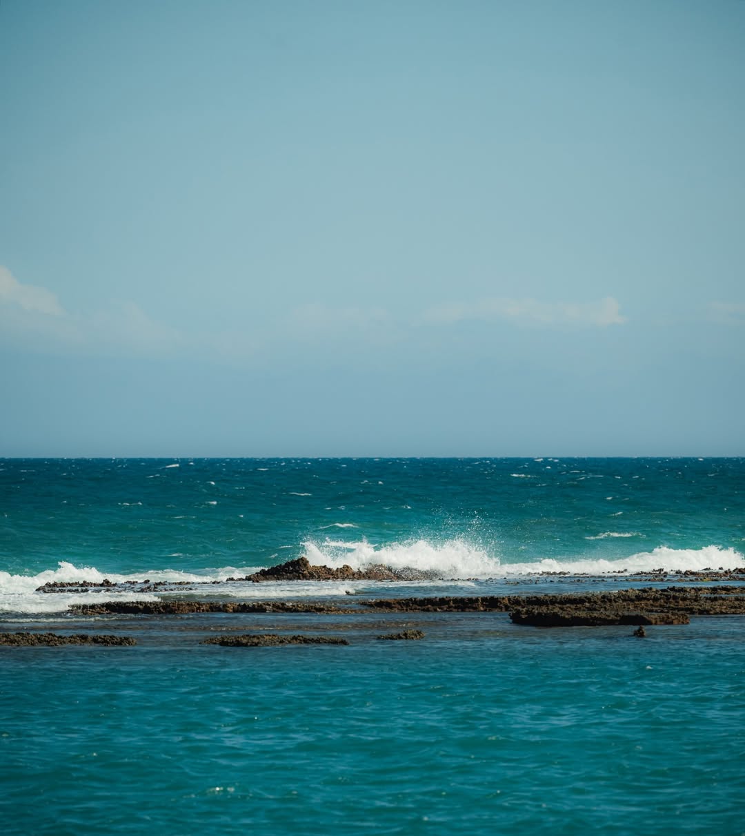 Imagem do card